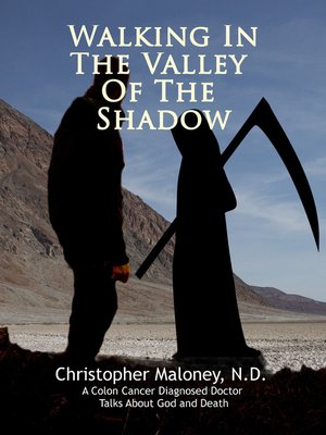 cover image of Walking In the Valley of the Shadow